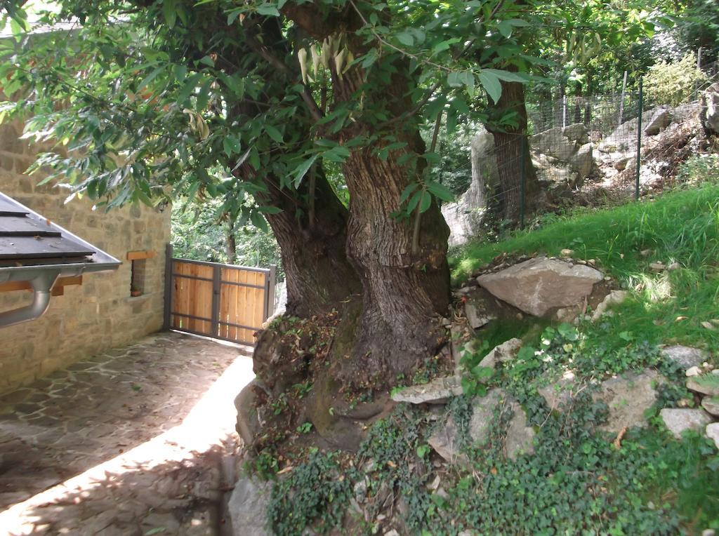 Agriturismo Ai Ronchi Sorico Kültér fotó